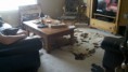 /album/photogallery/cow-hide-jpg/